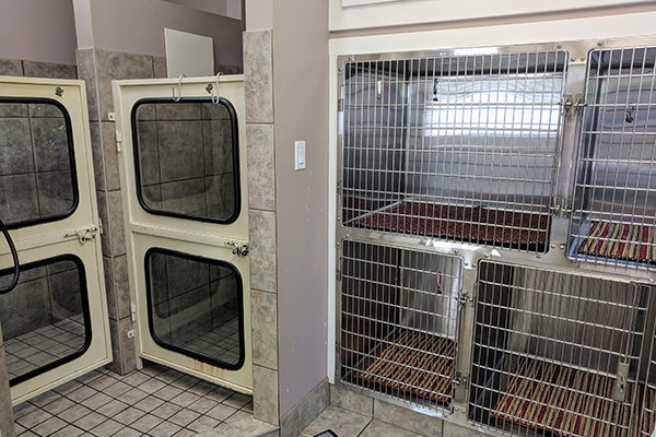 Kennel Room